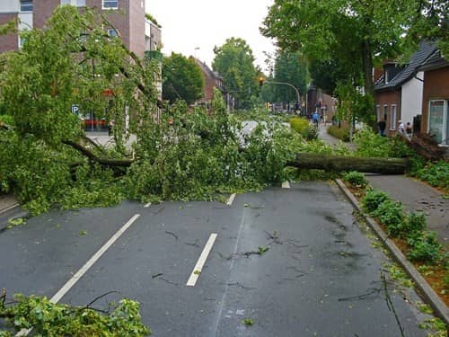 Trees down on a road after a tornado