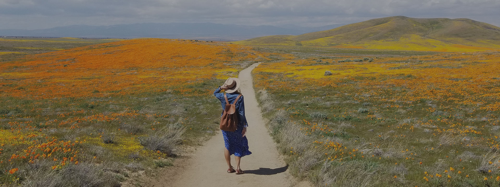 Woman walking path in flowery meadow