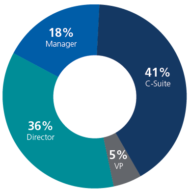 executive level survey pie chart