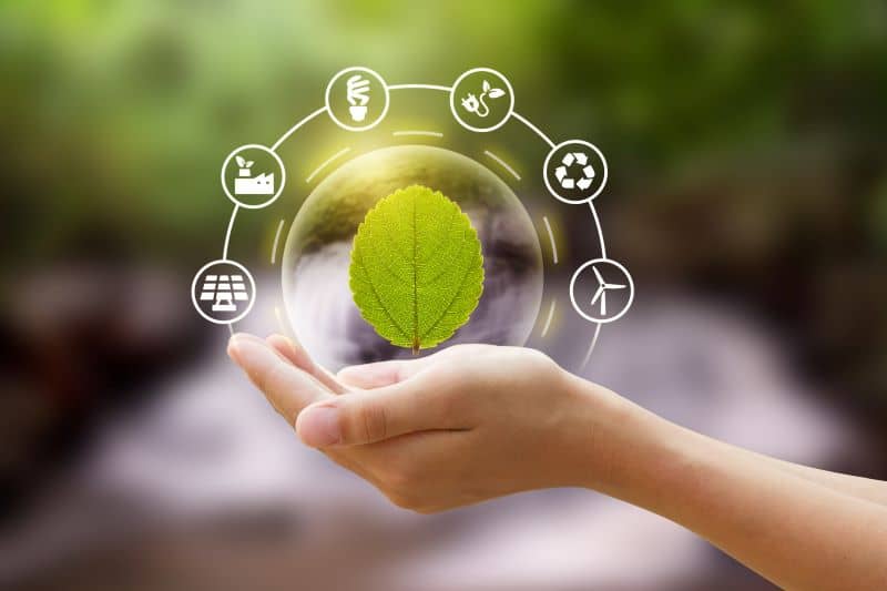 Hand holding a bubble of leaf with eco friendly icon Hand holding a bubble of leaf with eco friendly icon
