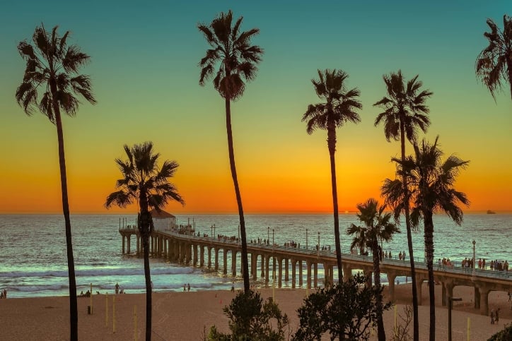 palm trees and sunset in southern california