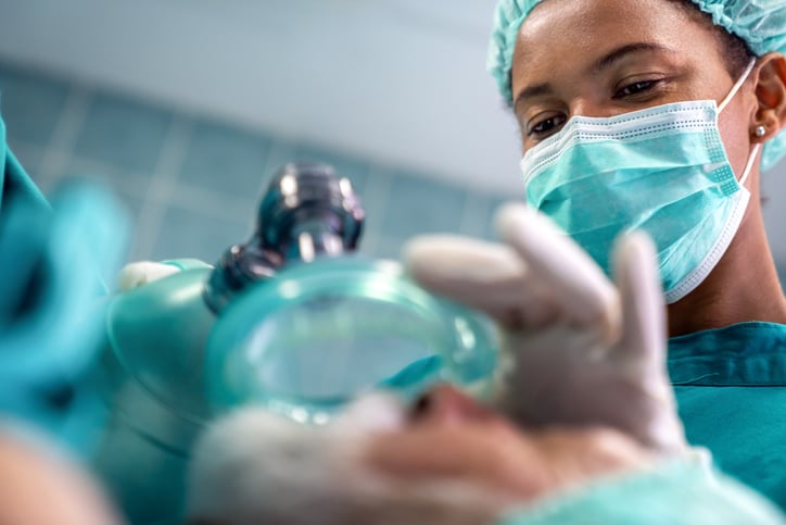 Anesthesia Excellence: Best Practices for Safe Patient Care