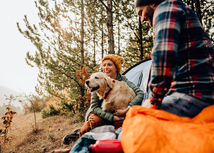 Family with their dog enjoying time outdoors