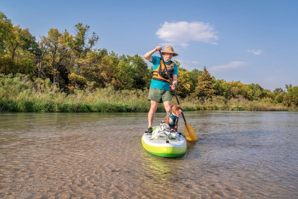 Man standing on paddle board with his dog.
