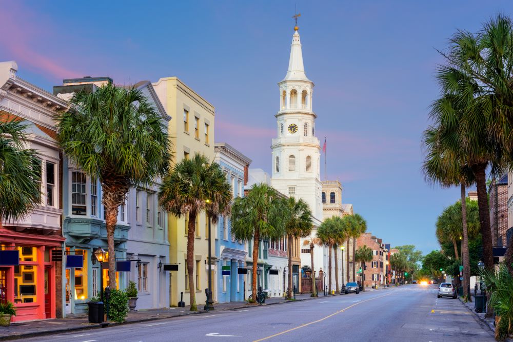 downtown view of a street with palm trees on it.